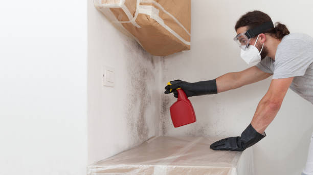 Professional Black Mold Remediation technician working in Baldwin, NY